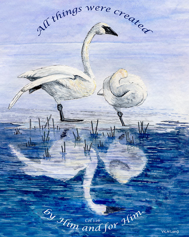 8x10-winter-swans-christian