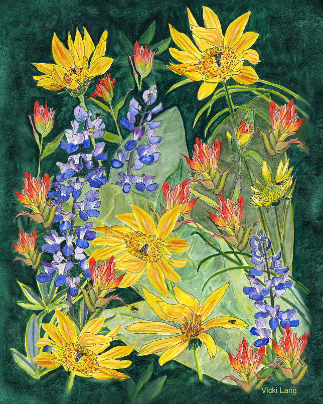8x10-wild-flowers-of-the-cariboo
