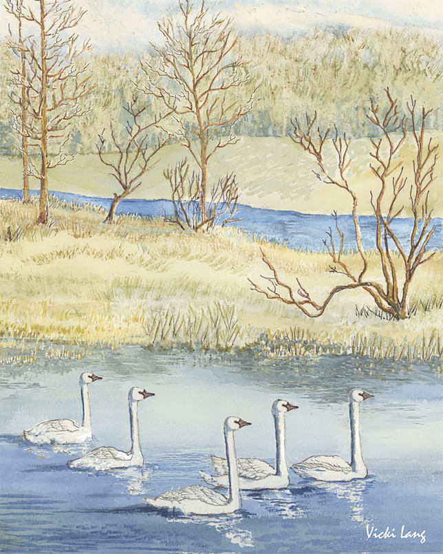8x10-tundra-swans