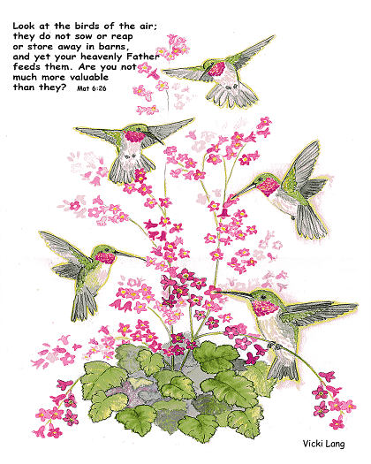 8x10--humming-birds-and-coral-bells--christian