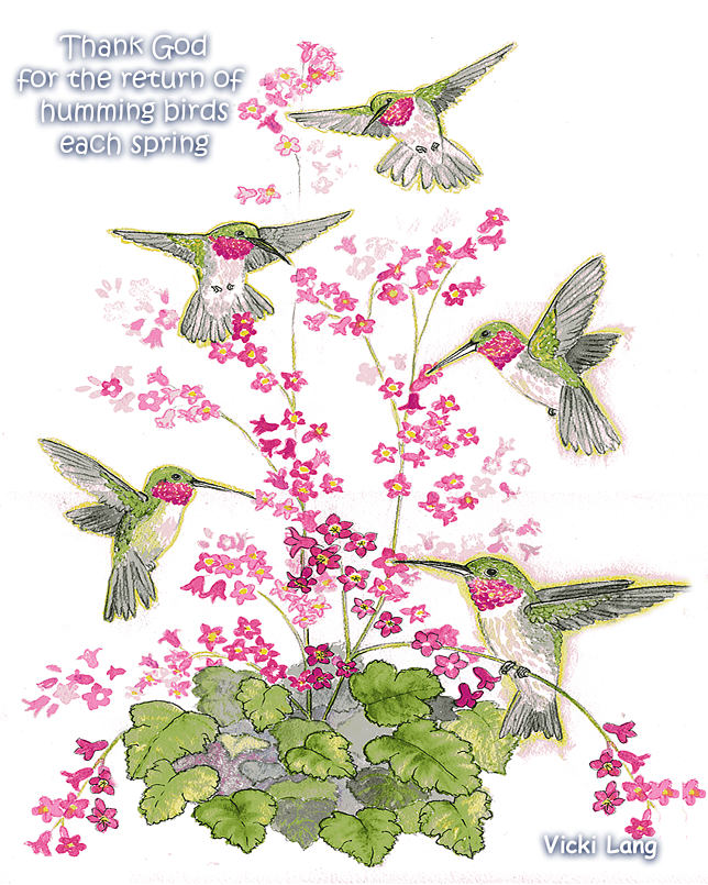 8x10--humming-birds-and-coral-bells--encouraging