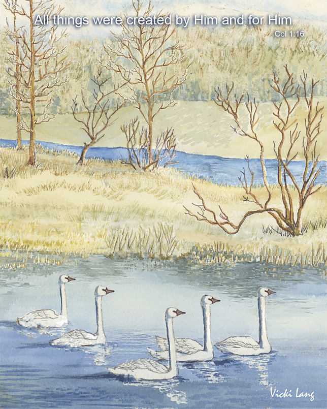 8x10--tundra-swans--christian