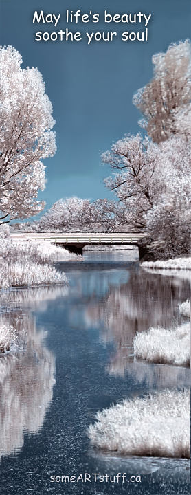 mp-hoar-frost-with-reflections