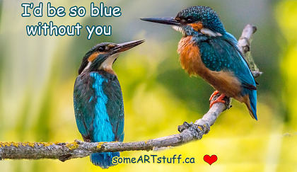 bw-blue-and-orange-birds-valentine