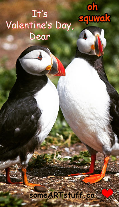 bw-puffins-vertical