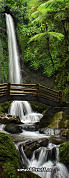 tropical-waterfall-with-bridge-bm